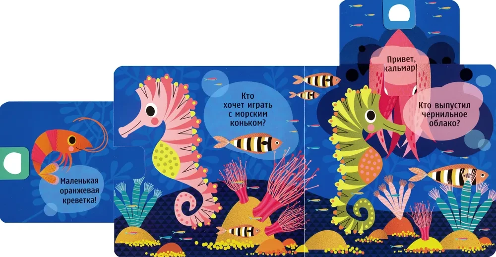 Who is hiding? In the ocean. Pull and find out