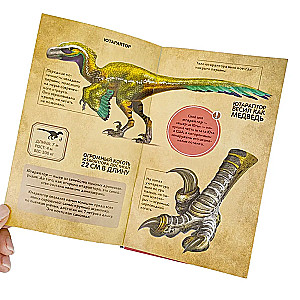 Dinosaurs and Other Prehistoric Animals