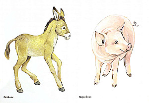 Kittens of domestic animals in pictures. A visual aid for teachers, speech therapists, educators, and parents.