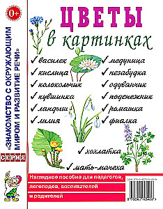 Flowers in Pictures. A Visual Aid for Educators, Teachers, Speech Therapists, Parents