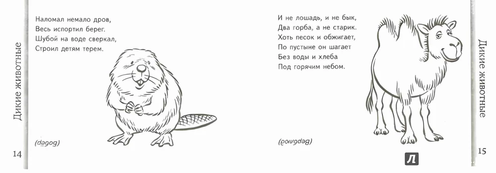 Riddles about Animals