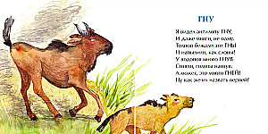 Lion, Gorilla and Others