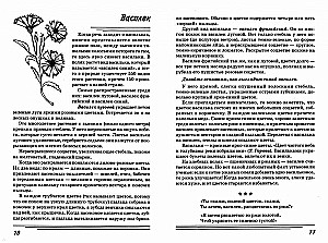 Žolės. Kokia jos?