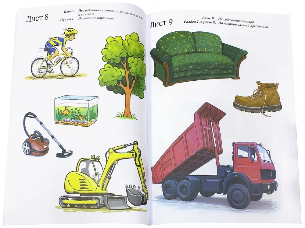 Examination of the Speech of Children Aged 6-7 with Speech Developmental Delays. Methodological Guidelines and Visual Materials for Conducting the Examination in the Preparatory Group of Preschool Educational Institutions