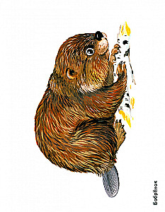 Cub of Wild Animals in Pictures. A Visual Aid for Educators, Speech Therapists, Educators, and Parents