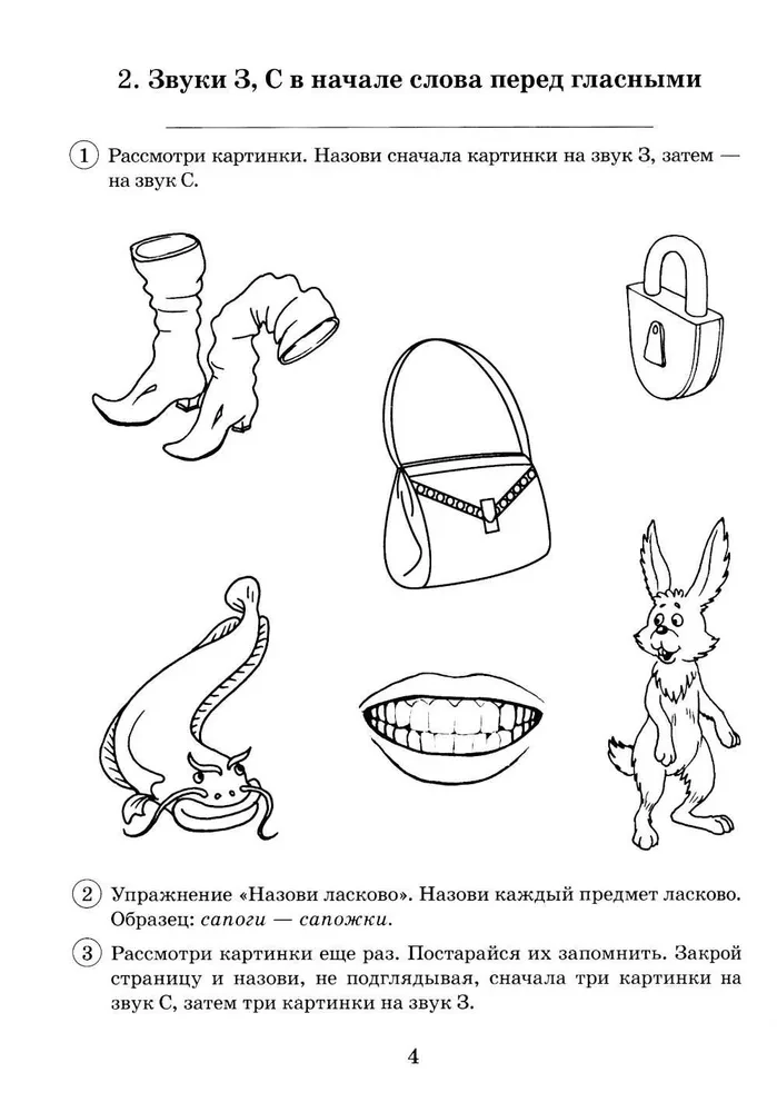Paired voiced and voiceless consonants Z-S. A collection of graphic, phonemic, and lexical-grammatical exercises for children aged 6-9