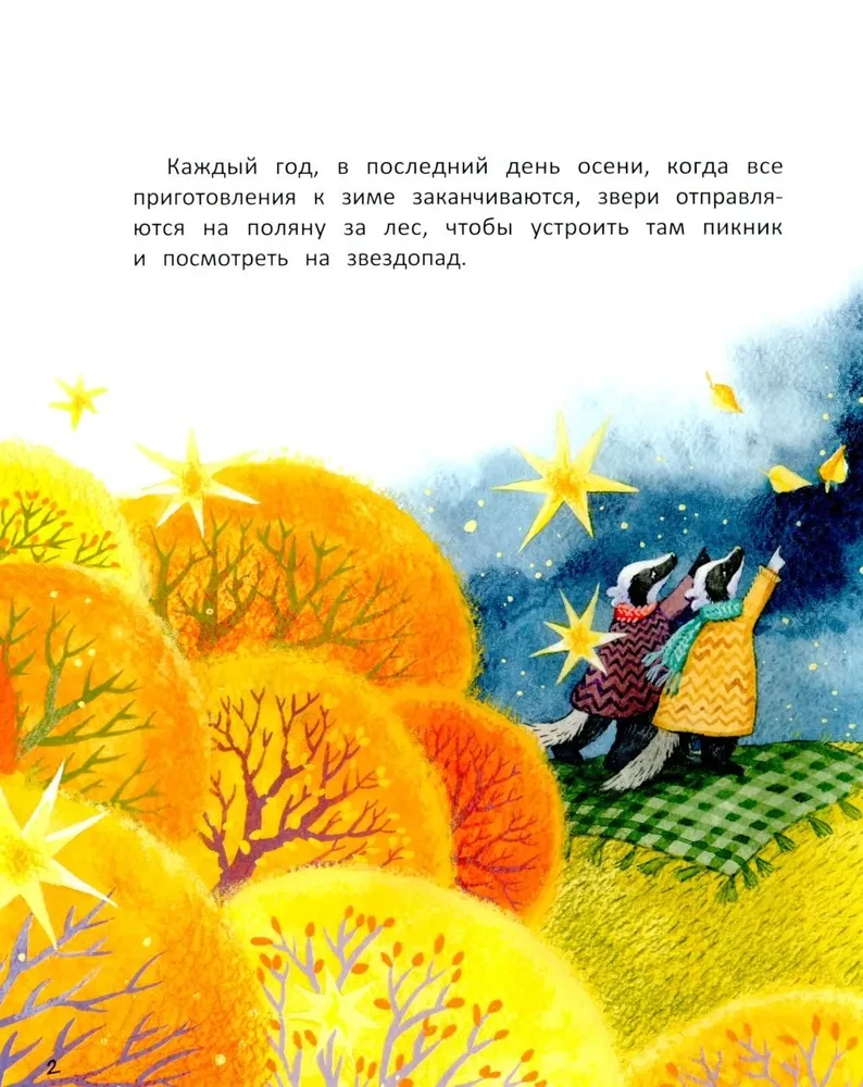 Meteor Shower for Klava, or A Story About True Friendship