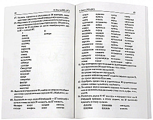 Distinguishing between paired hard and soft consonants. Phonemic and lexical-grammatical exercises with children aged 6-8