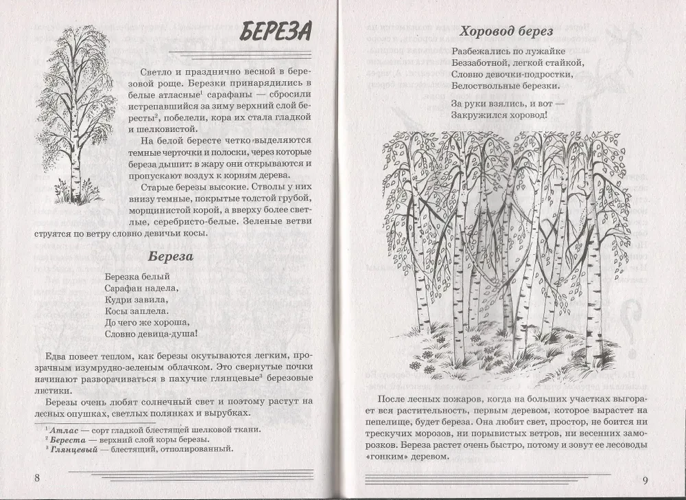 Trees. What are they?