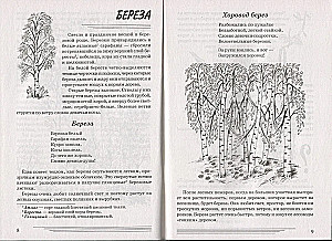 Trees. What are they?