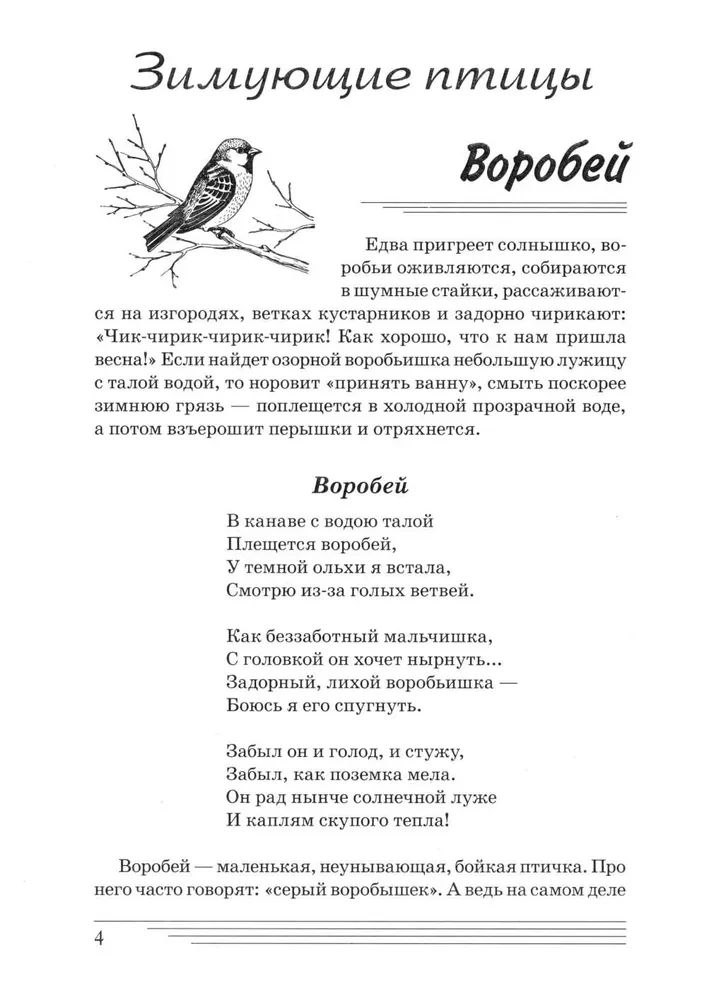 Linnud. Kuidas nad on?