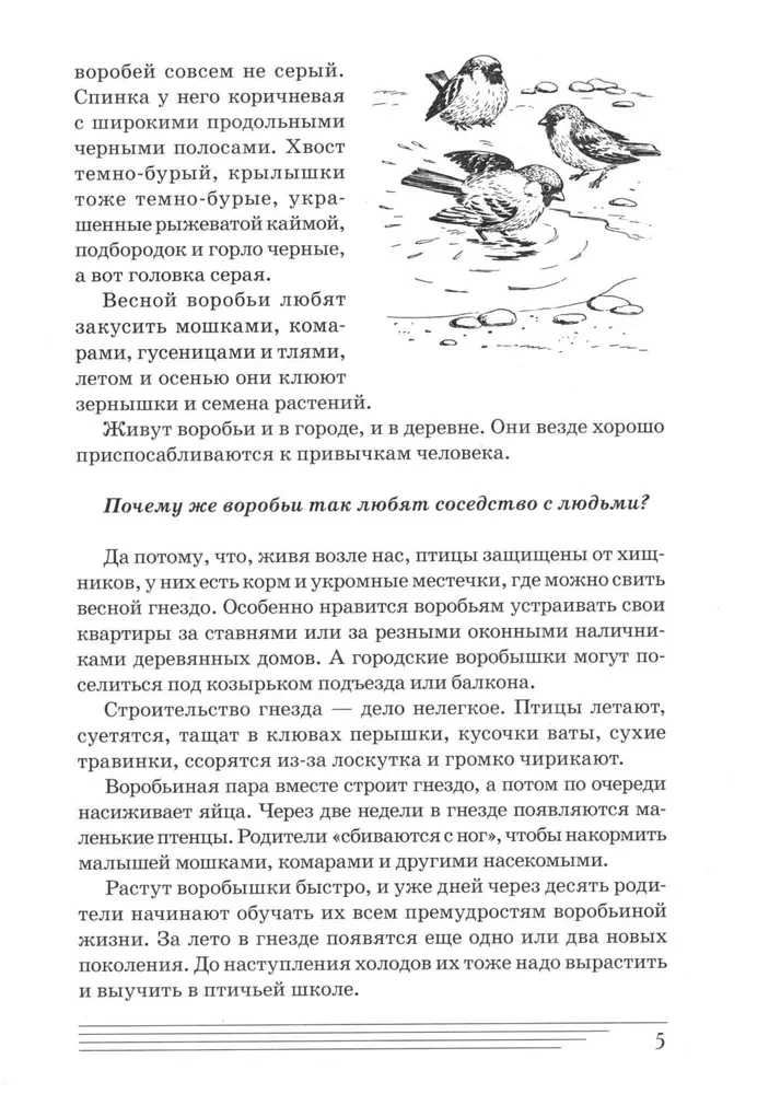 Linnud. Kuidas nad on?