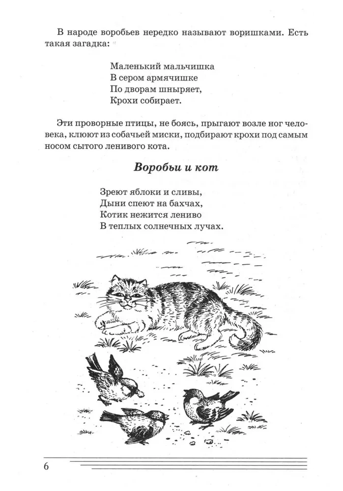 Linnud. Kuidas nad on?