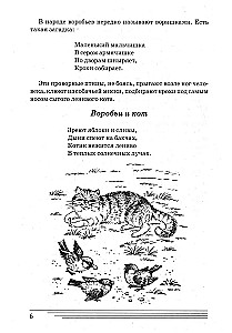 Linnud. Kuidas nad on?
