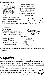 Millised kuud on aastas?