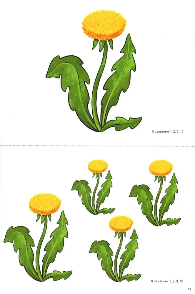 Cut-out pictures for the formation of elementary mathematical representations in preschoolers aged 4-5