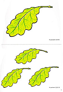Cut-out pictures for the formation of elementary mathematical representations in preschoolers aged 4-5