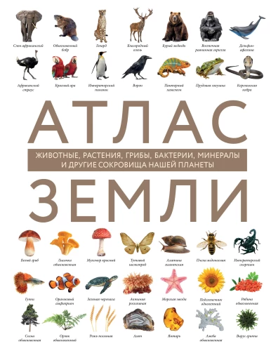 Atlas of the Earth. Animals, plants, fungi, bacteria, minerals and other treasures of our planet