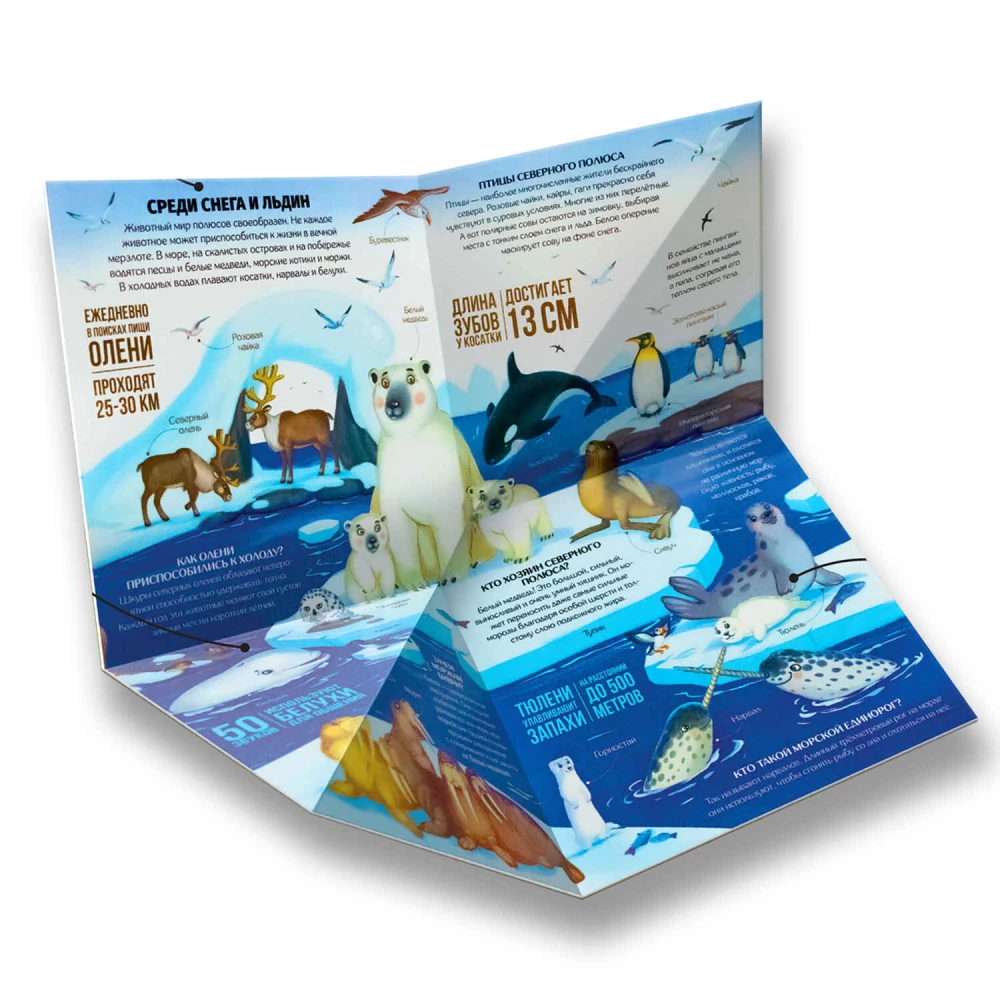 Transformer Book. Animals