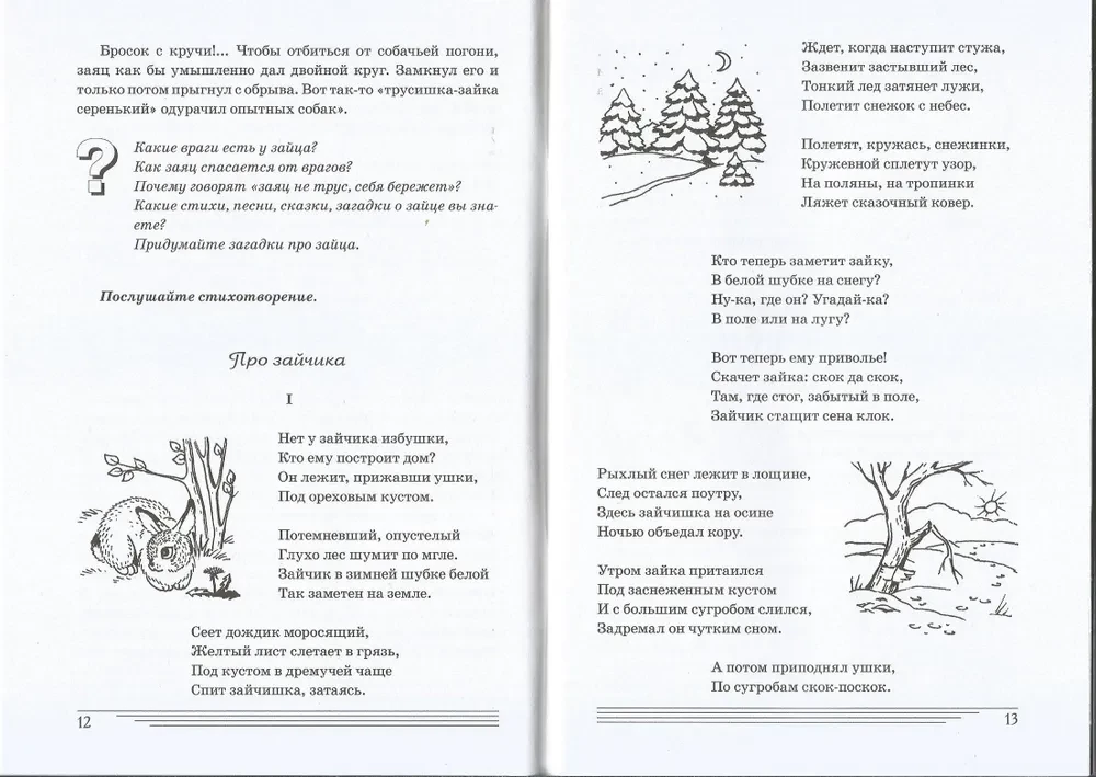 What animals are in the forest?