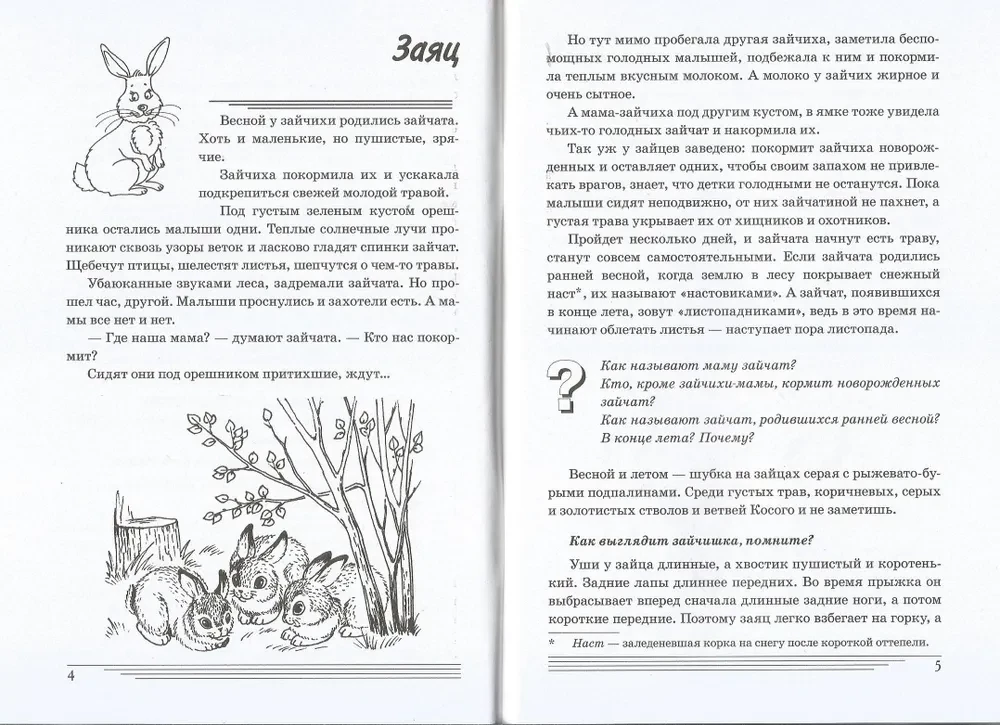 What animals are in the forest?
