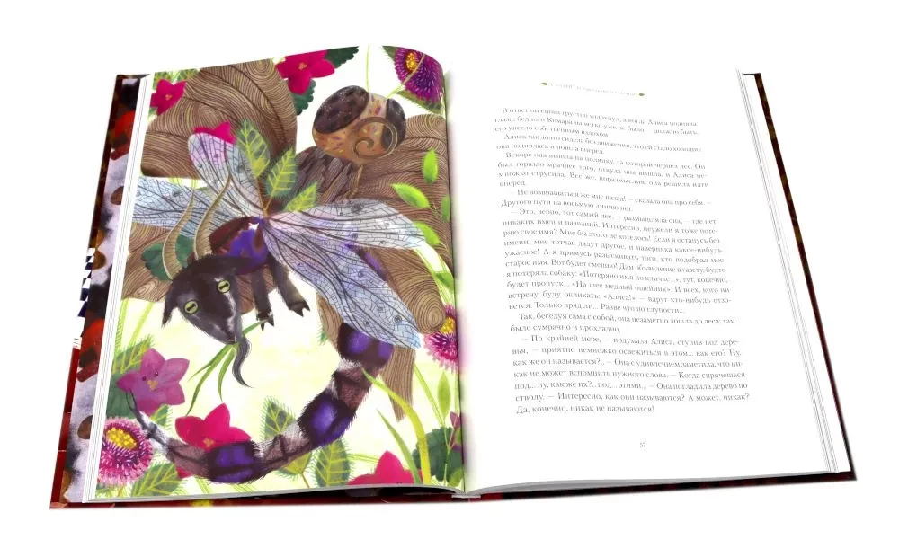 Alice in Wonderland and Through the Looking-Glass (set of 2 books)