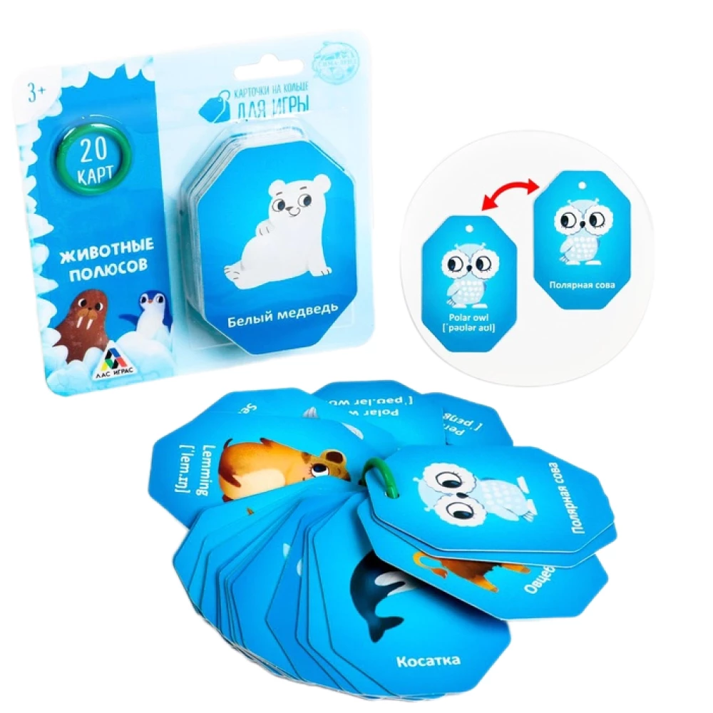 Cards on a Ring for the Game - Polar Animals