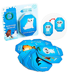 Cards on a Ring for the Game - Polar Animals