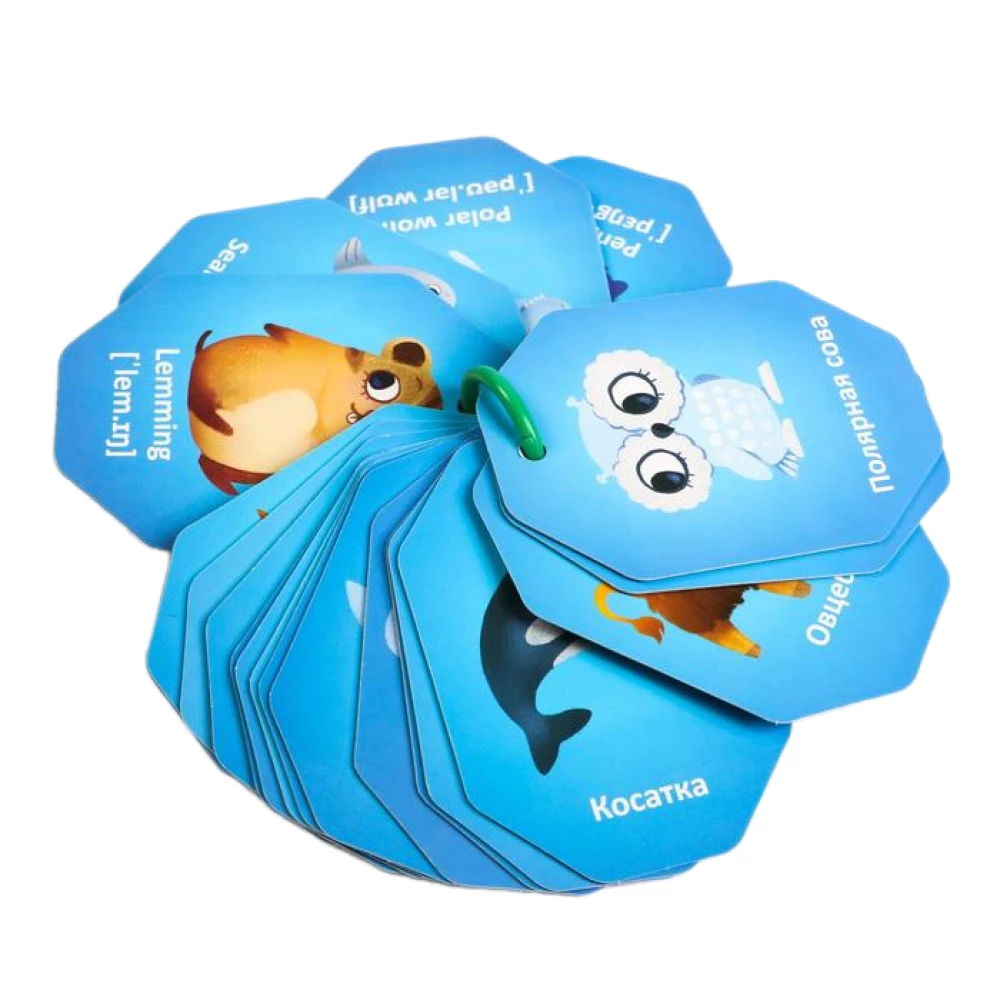 Cards on a Ring for the Game - Polar Animals