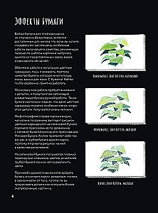 Mysterious Nature. Author's Illustrations of Flora and Fauna for Coloring