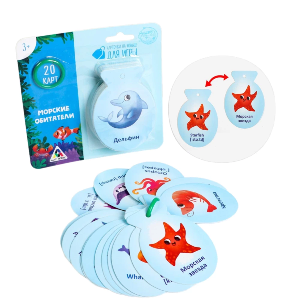 Flashcards on a Ring for Learning English - Marine Creatures