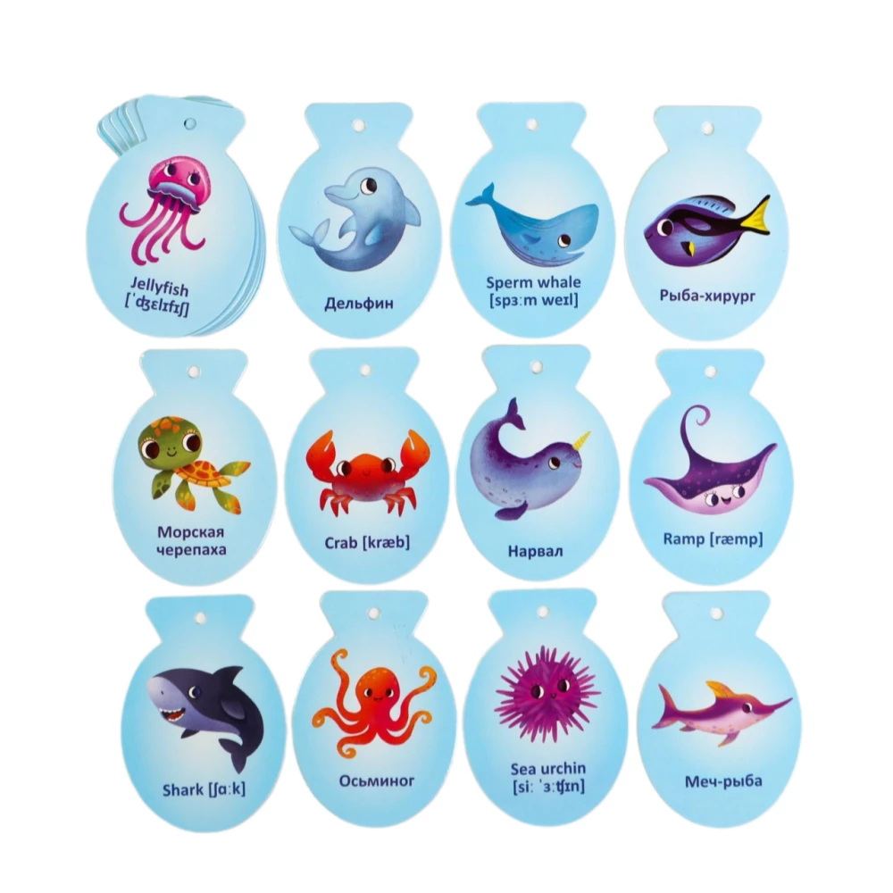Flashcards on a Ring for Learning English - Marine Creatures