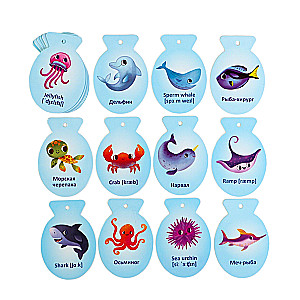 Flashcards on a Ring for Learning English - Marine Creatures