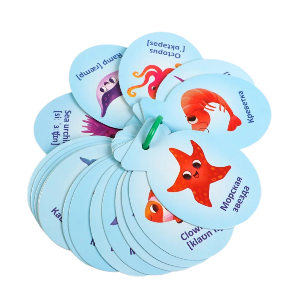 Flashcards on a Ring for Learning English - Marine Creatures