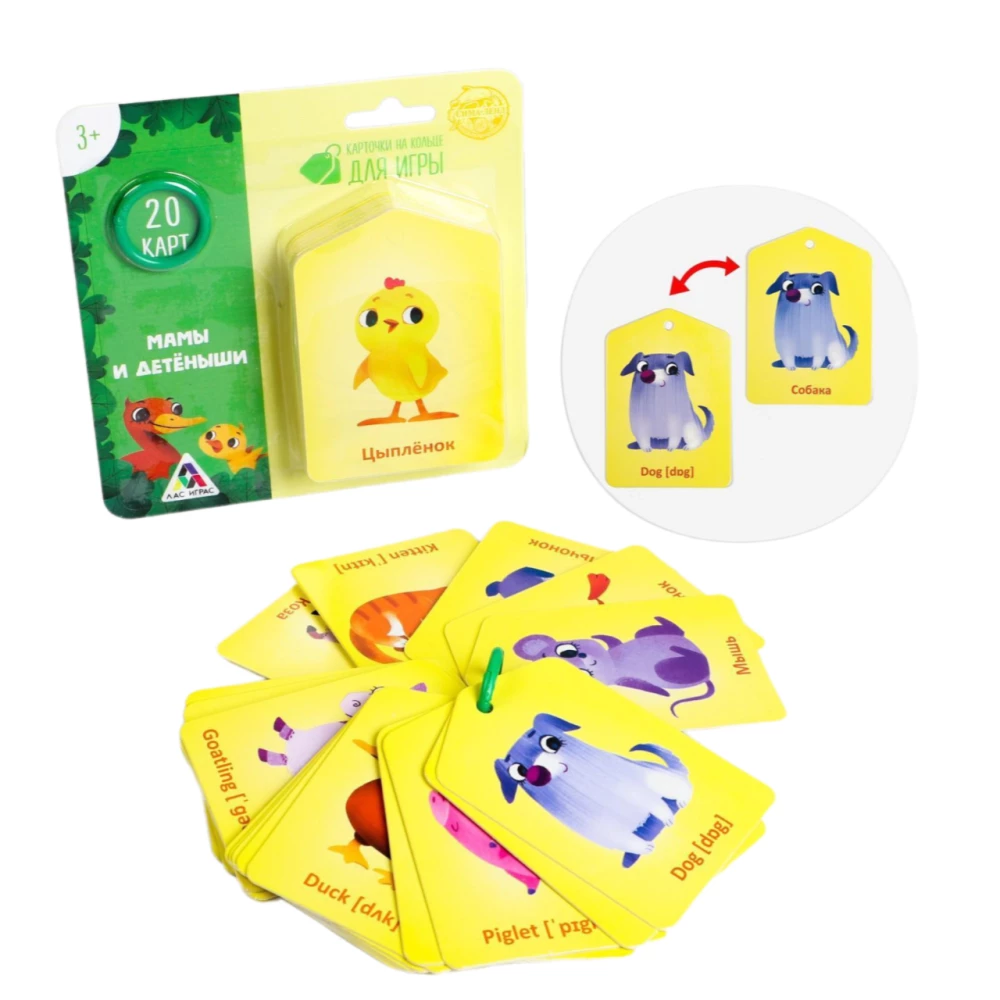 Flashcards on a Ring for Learning English - Mothers and Offspring