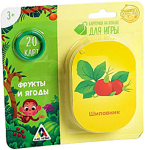 Flashcards on a Ring for Learning English - Fruits and Berries