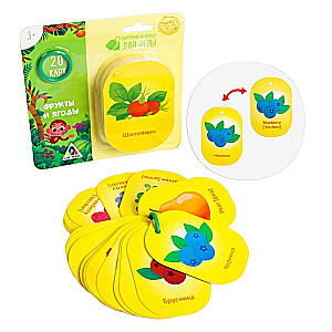 Flashcards on a Ring for Learning English - Fruits and Berries