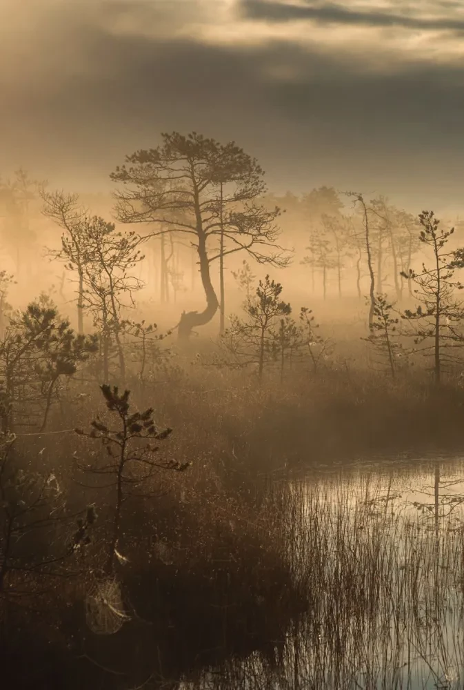 In Search of the Shot. Everything You Wanted to Know About Travel Photography Step by Step