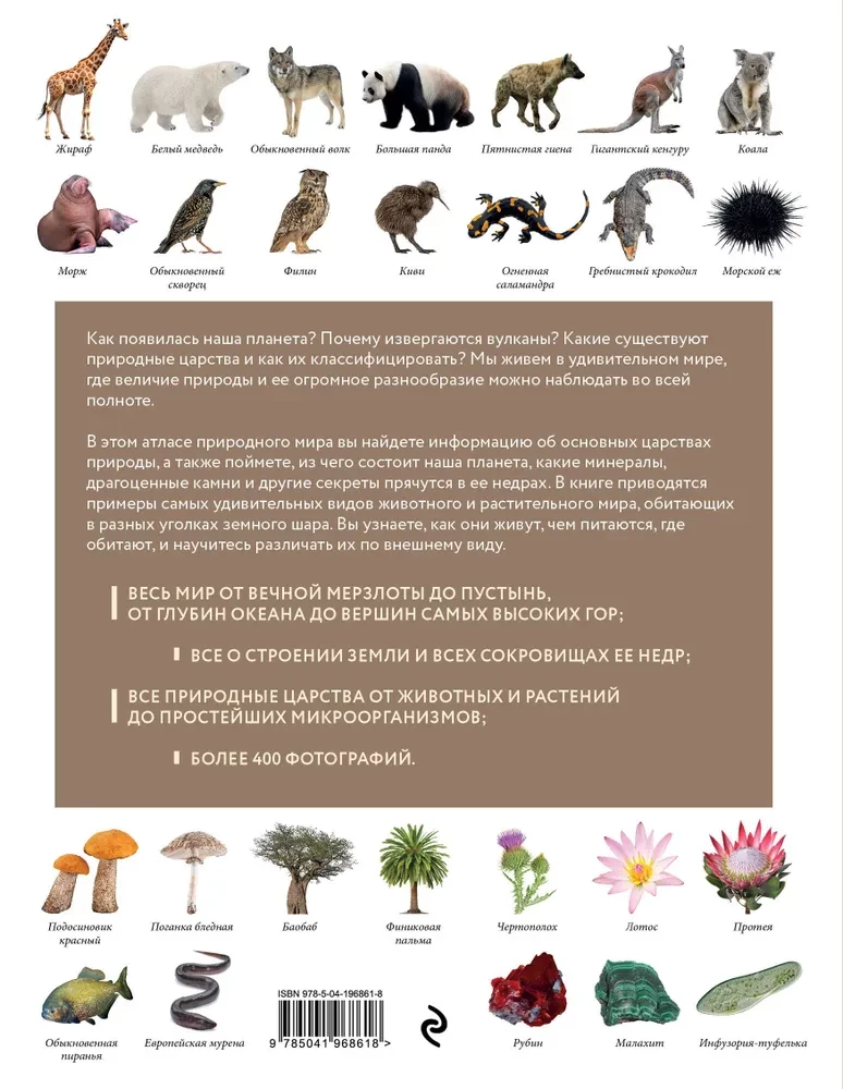 Atlas of the Earth. Animals, plants, fungi, bacteria, minerals and other treasures of our planet