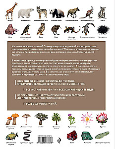 Atlas of the Earth. Animals, plants, fungi, bacteria, minerals and other treasures of our planet