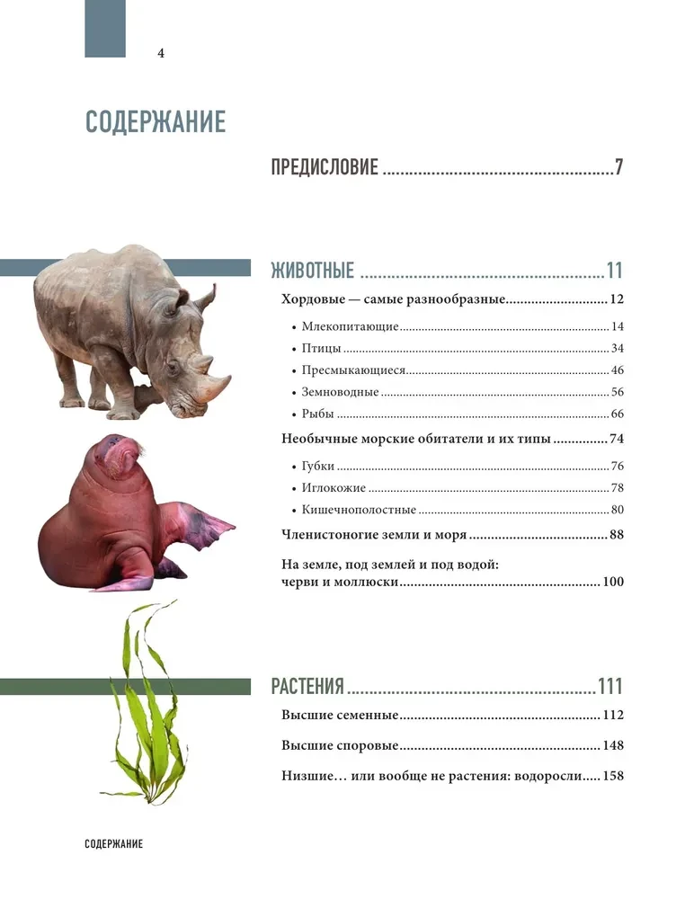 Atlas of the Earth. Animals, plants, fungi, bacteria, minerals and other treasures of our planet