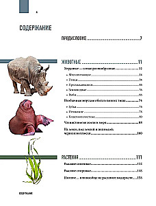 Atlas of the Earth. Animals, plants, fungi, bacteria, minerals and other treasures of our planet
