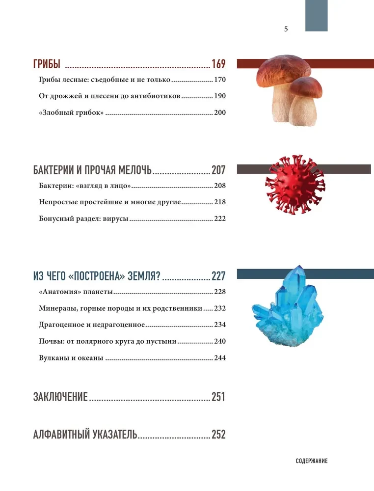 Atlas of the Earth. Animals, plants, fungi, bacteria, minerals and other treasures of our planet