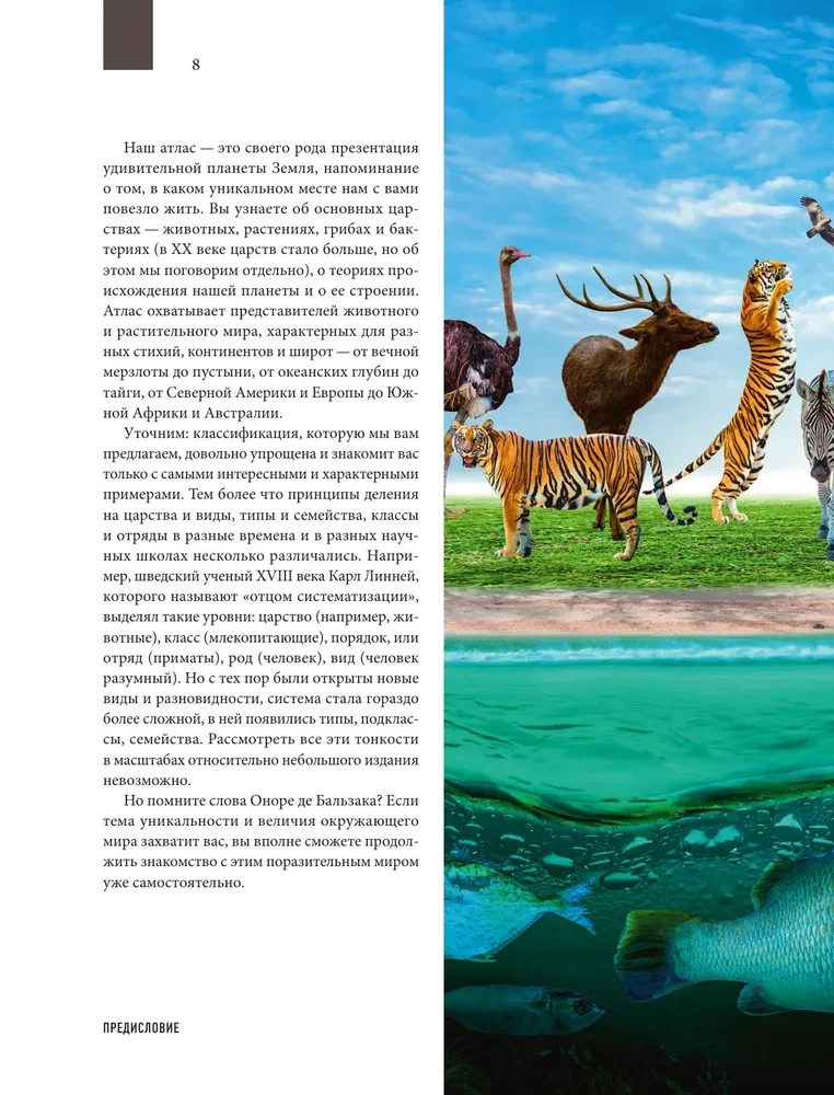 Atlas of the Earth. Animals, plants, fungi, bacteria, minerals and other treasures of our planet