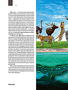 Atlas of the Earth. Animals, plants, fungi, bacteria, minerals and other treasures of our planet