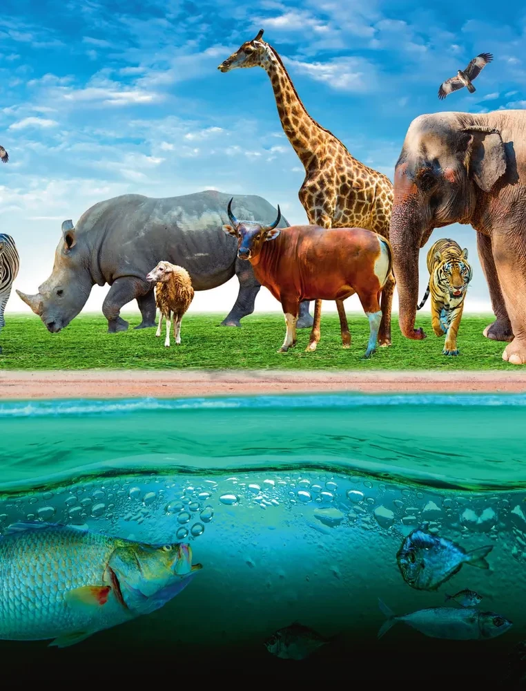 Atlas of the Earth. Animals, plants, fungi, bacteria, minerals and other treasures of our planet