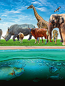 Atlas of the Earth. Animals, plants, fungi, bacteria, minerals and other treasures of our planet