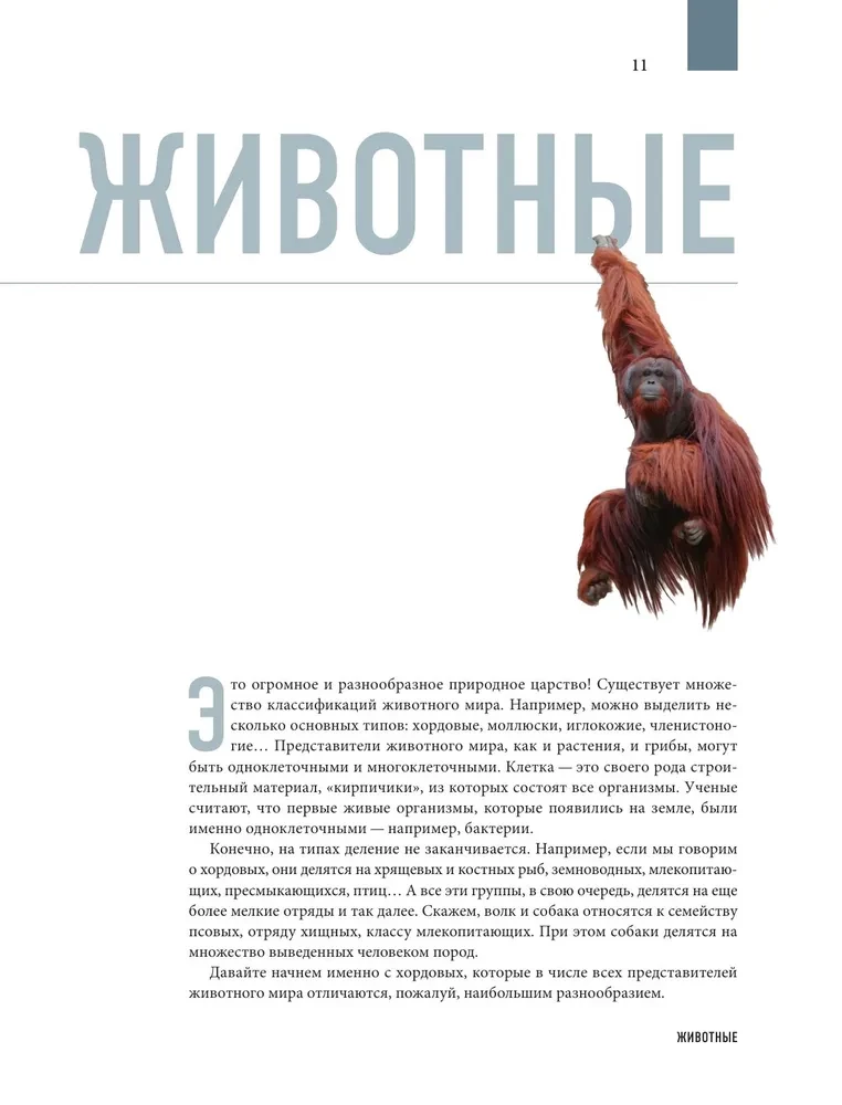 Atlas of the Earth. Animals, plants, fungi, bacteria, minerals and other treasures of our planet