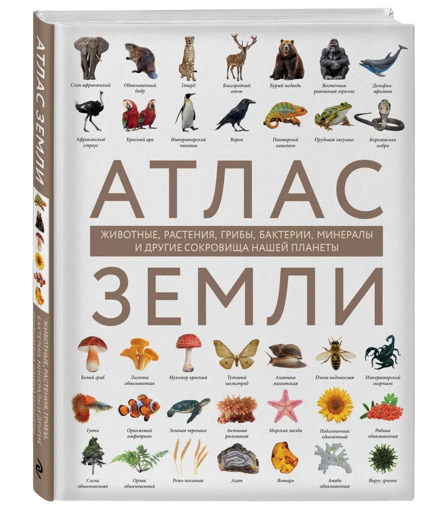 Atlas of the Earth. Animals, plants, fungi, bacteria, minerals and other treasures of our planet
