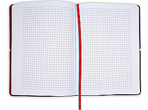 Checked Notepad - Ginkgo